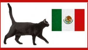 Names for black cats in Spanish