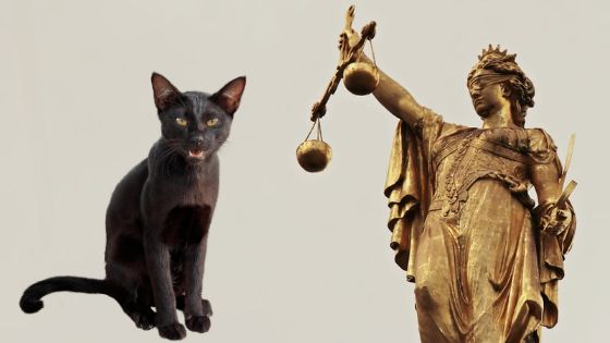 Goddess names for black cats