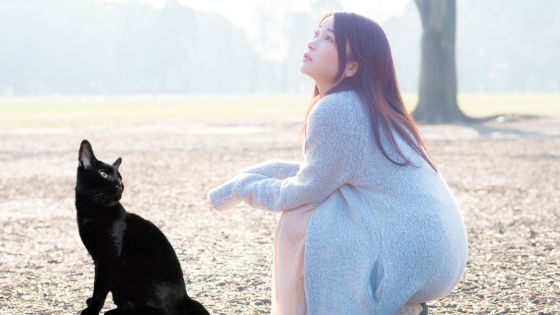 Names for black cats in Japanese